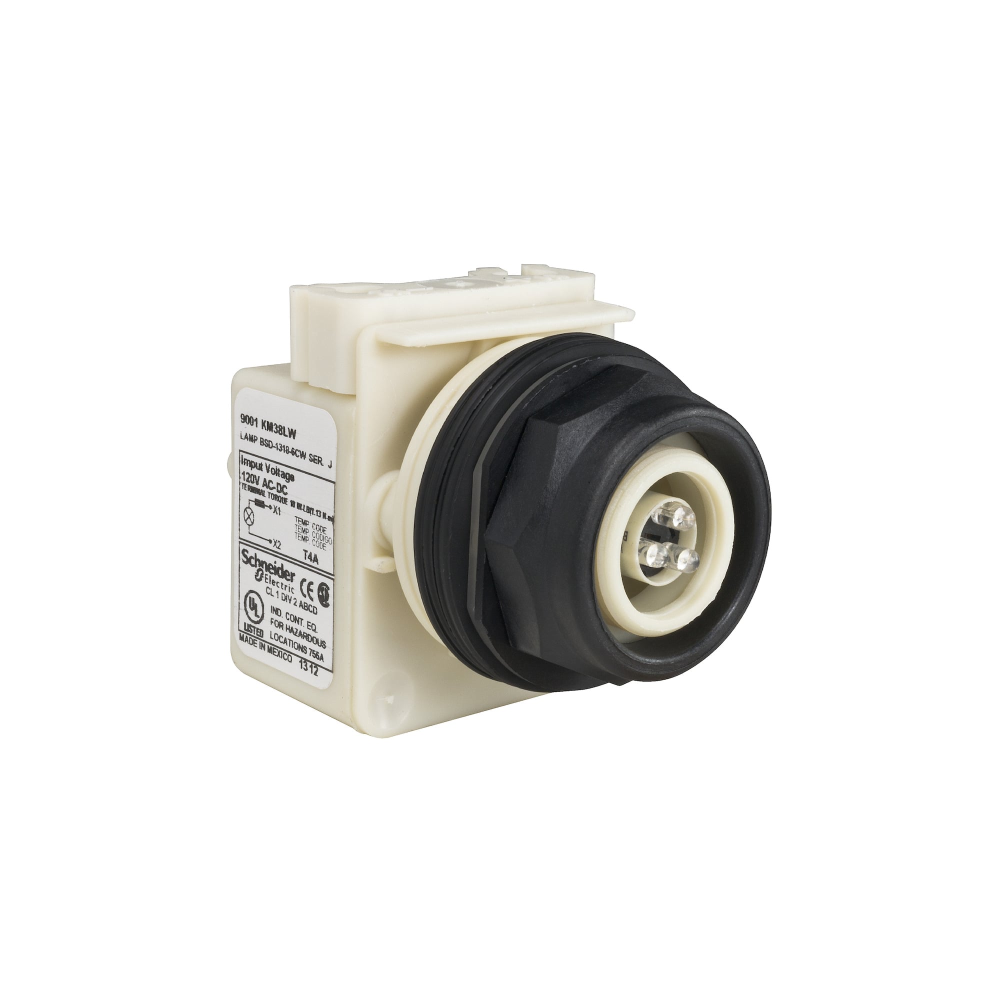 PILOT LIGHT 120V 30MM SK + OPTIONS