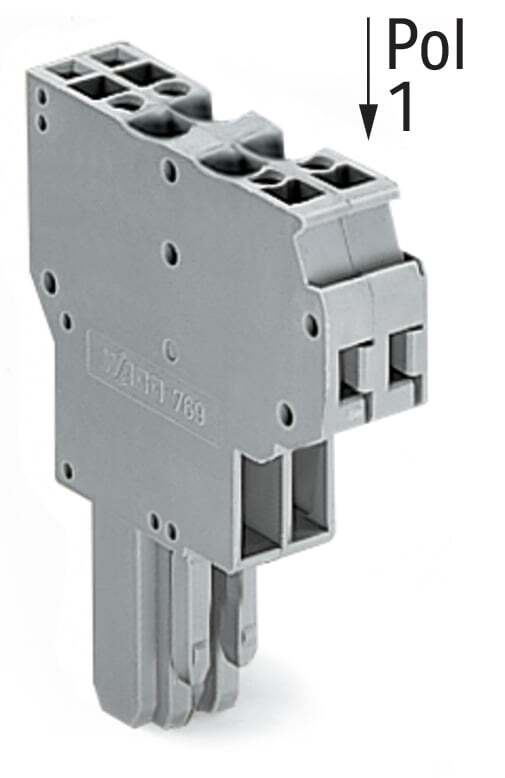 2-conductor female connector; CAGE CLAMP; 4 mm; Pin spacing 5 mm; 4-pole; coding finger; 4,00 mm; gray