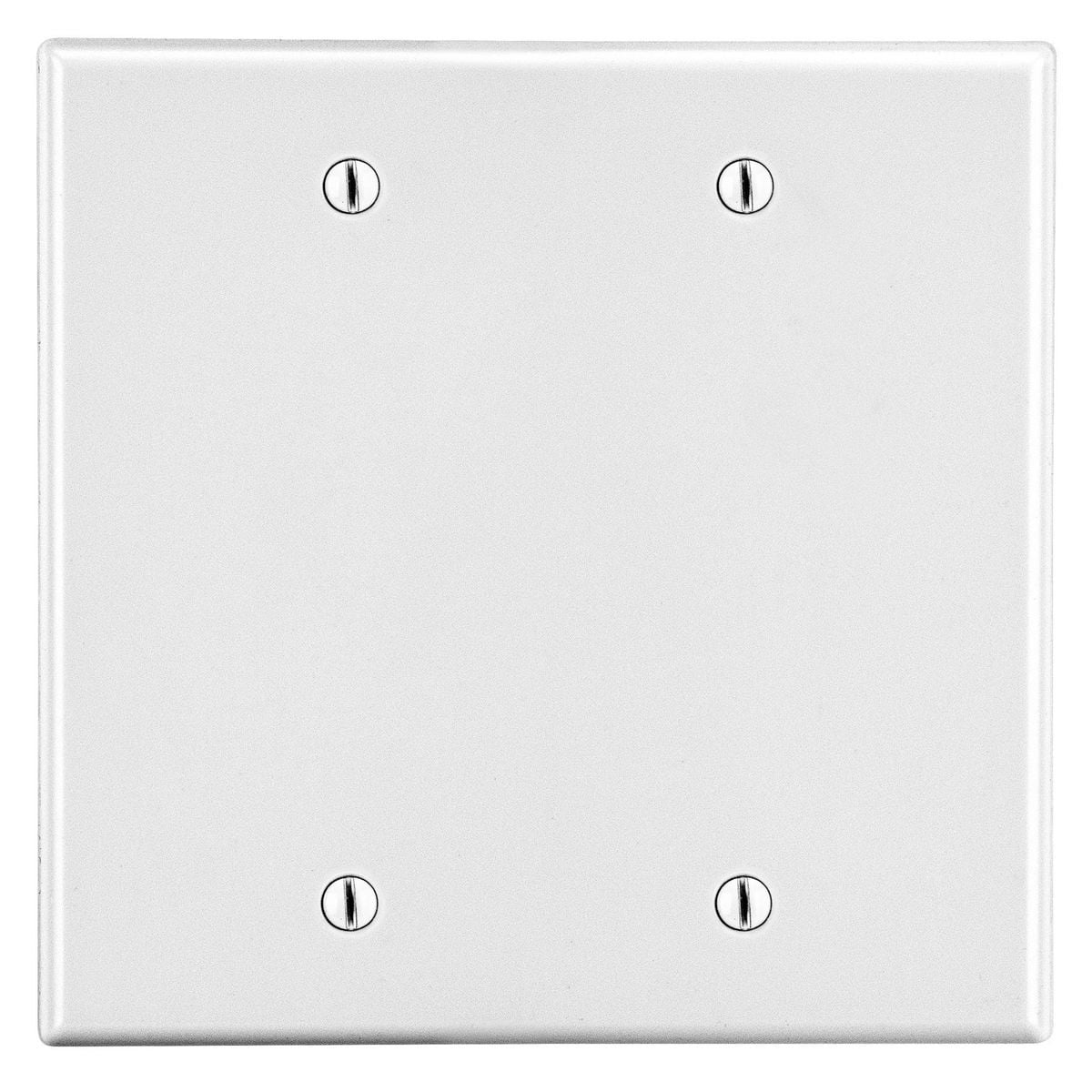 Wallplate, 2-Gang, 2 Box Mount Blank, White
