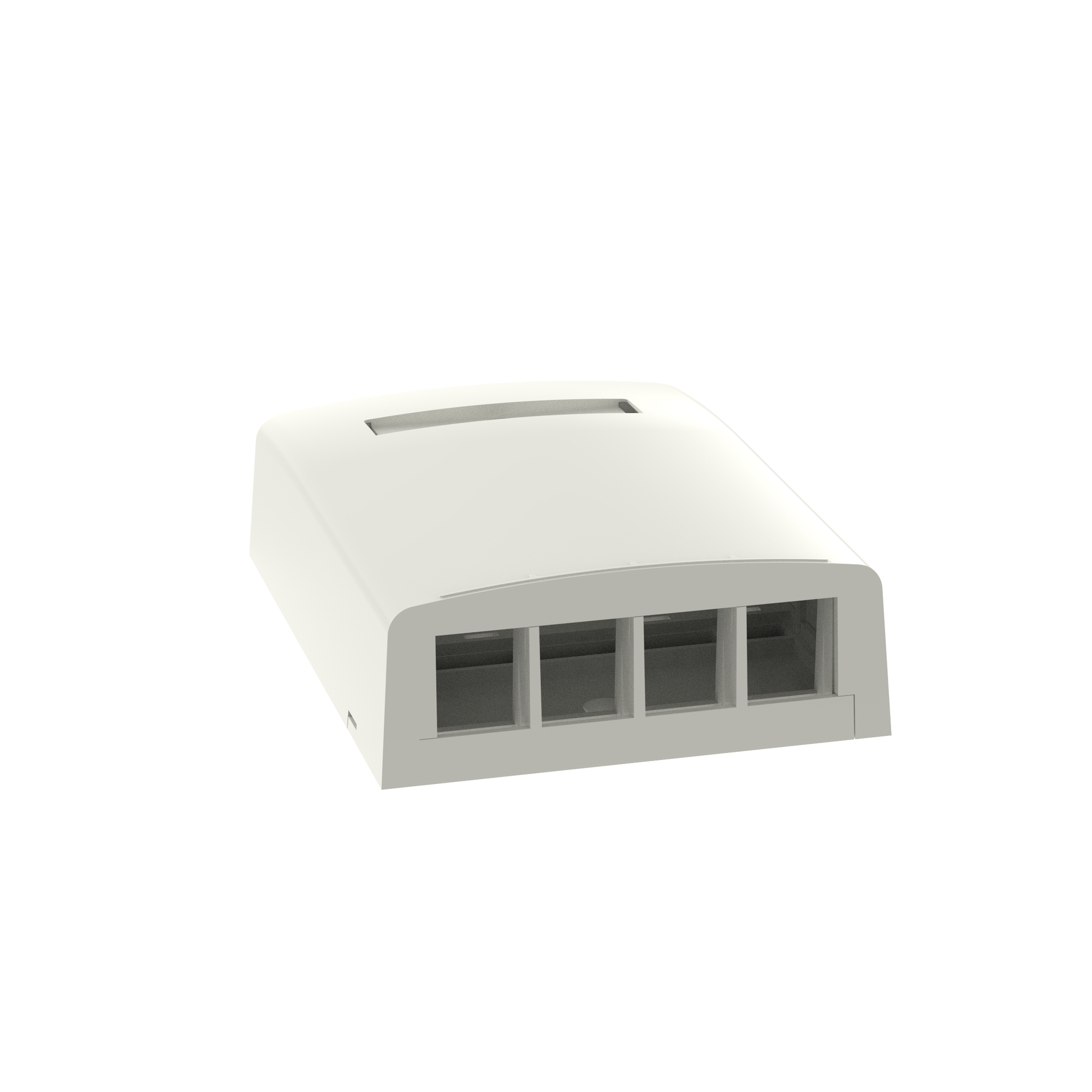 NetKey Surface Mount Box, 4-Port, Inter