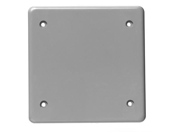 BRC20-2-U PVC DBL GANG COV. PLATE BLANK W/ GSKT KRALOY