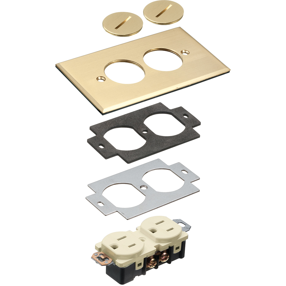 Single gang brass cover with 2 threaded plugs.