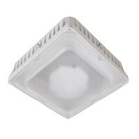 Vela 45-Watt Outdoor LED Canopy, White, 5000K