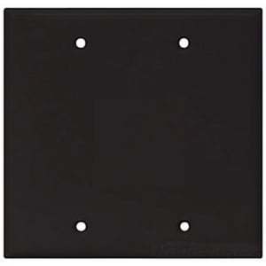 Eaton Blank wallplate, Box mount, Black, Blank Cutout, Polycarbonate, Two- gang, Mid-size