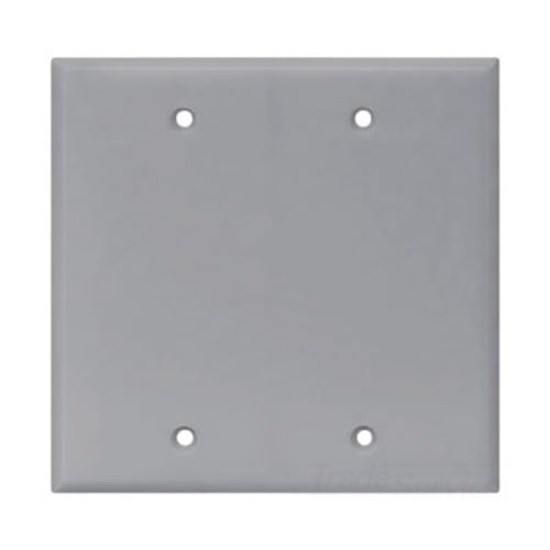 Eaton Blank wallplate, Box mount, Gray, Blank Cutout, Polycarbonate, Two- gang, Mid-size