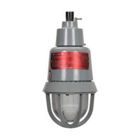 100/500 WATT FS EXPLOSION PROOF INCANDESCENT PENDANT 1