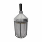 Eaton Crouse-Hinds series Vaporgard VF light fixture, 60 Hz, Clear glass globe, With cast copper-free aluminum guard, Fluorescent, Copper-free aluminum, Pendant mount, 2-lamp, 3/4", 120 Vac, 18W