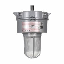 100W MT MH 3/4 CEILING GLOBE/GUARD