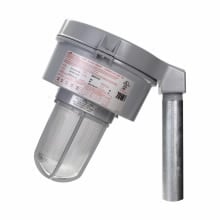 100W MT MH 25 DEG STANCH GLOBE/GUARD