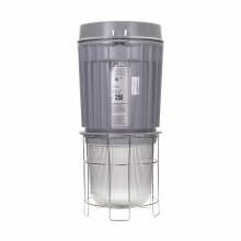 250W MULTI TAP HPS 3/4 PEND GLOBE/GUARD