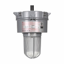 100W MULTI TAP HPS 3/4 CEIL GLOBE/GUARD