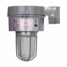 100W MULTI TAP HPS WALL GLOBE/GUARD