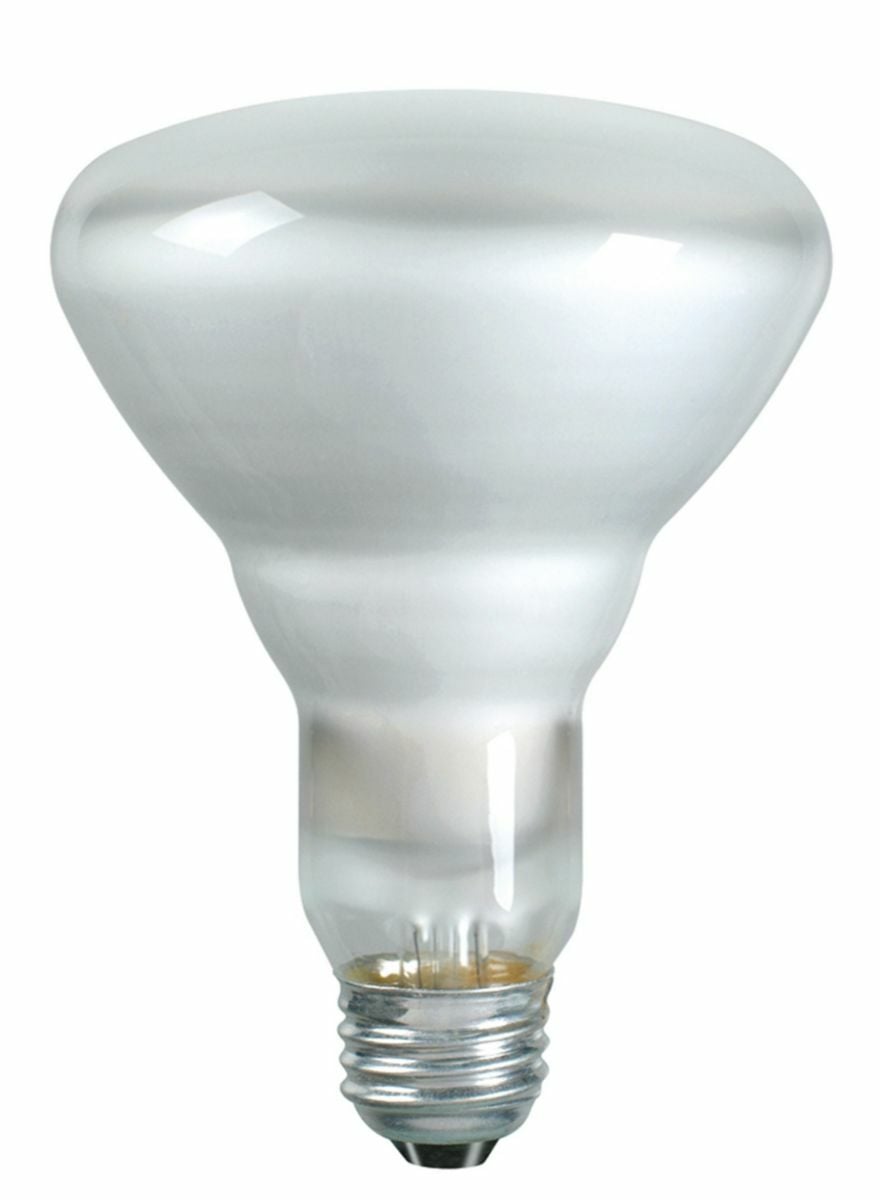 Reflector Flood  Philips Family of Specialty Incandescents provide the perfect light for dramatic accents and display lighting as well as general lighting in a variety of applications. These flood lamps produce homogeneous beams of high intensity for general illumination. For parties, holiday lighting and decorative effects.;Available in BR, R and PAR shapes in 45W, 50W, 65W, 85W, 120W and 300W versions. Ideal for indoor recessed and track fixtures and outdoor landscape fixtures.