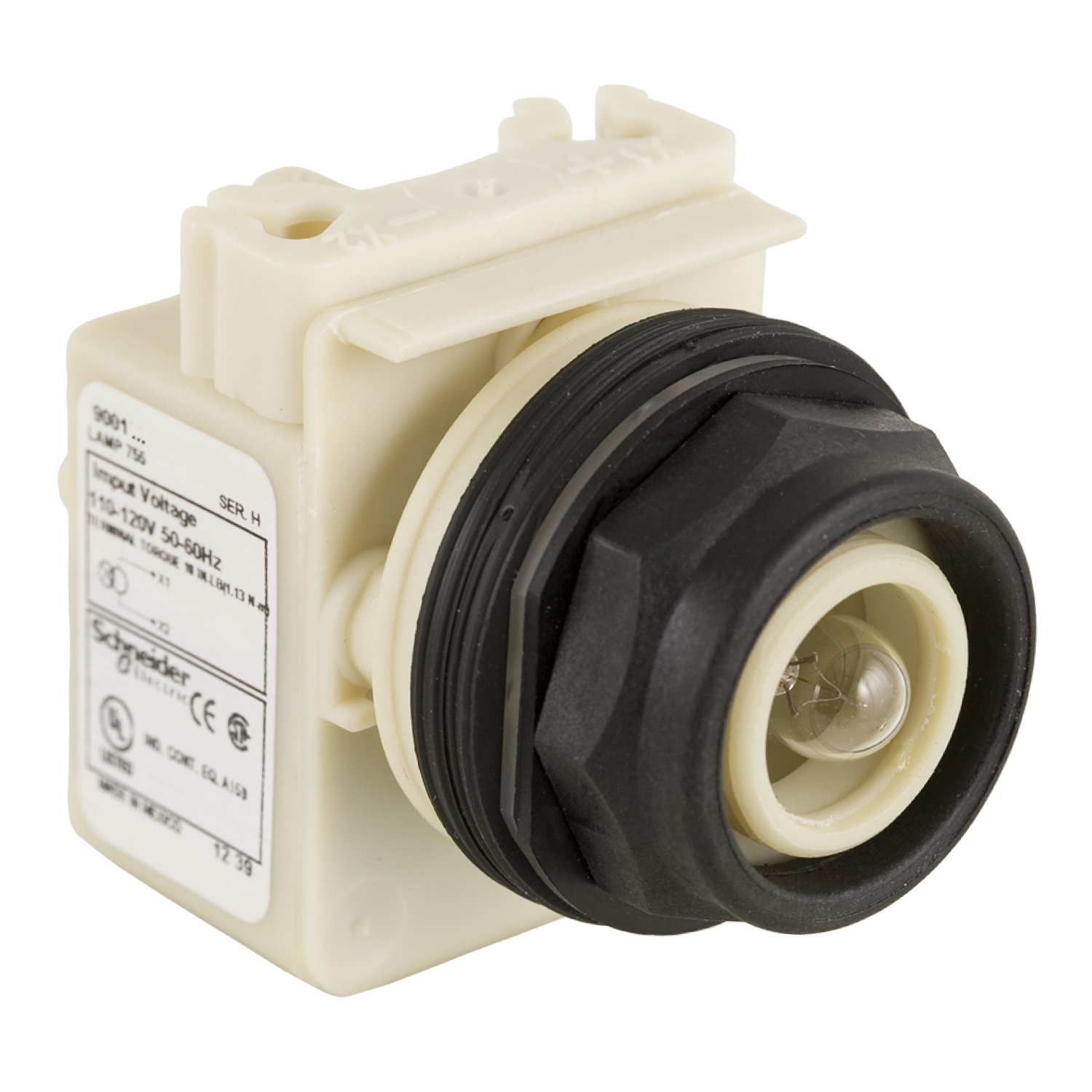 Pilot Light, 30 mm, 110 - 120 VAC