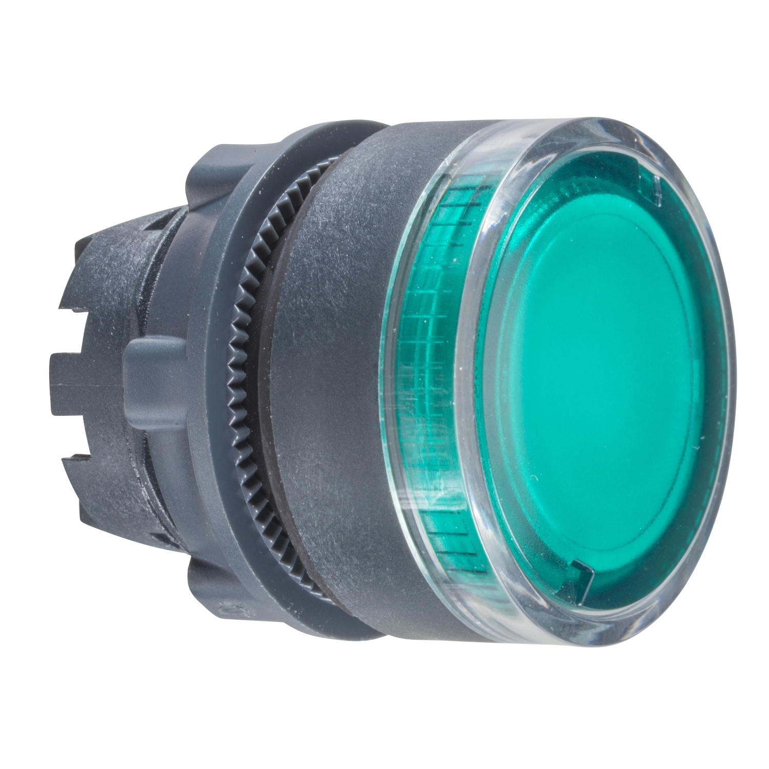 Head for illuminated push button, Harmony XB5, plastic, flush, green, 22mm, spring return, plain lens for BA9s bulb