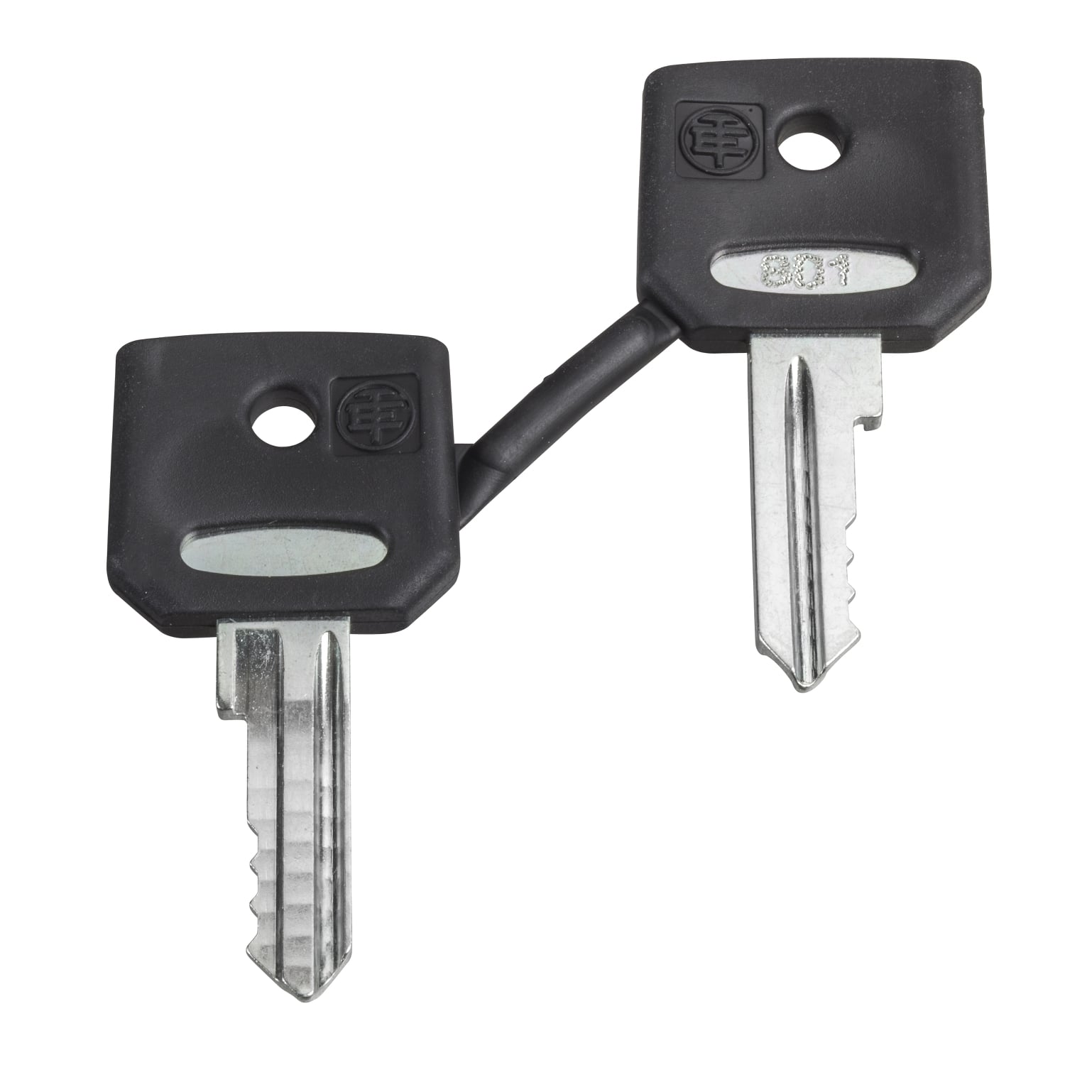 Key, Harmony XB4, Set of 2 keys, key 455 with one booted