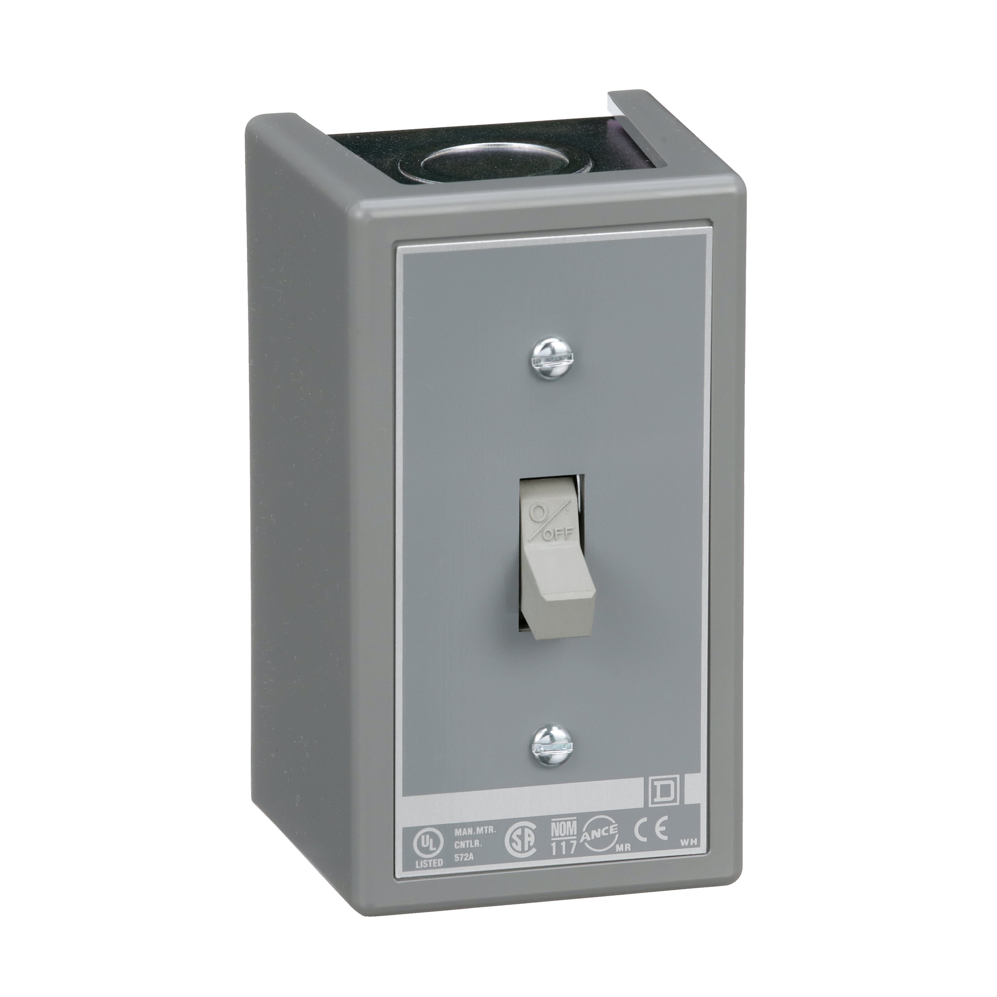 Manual Switch - NEMA 1 - 2P - Toggle Operated - No Indicator - 600VAC