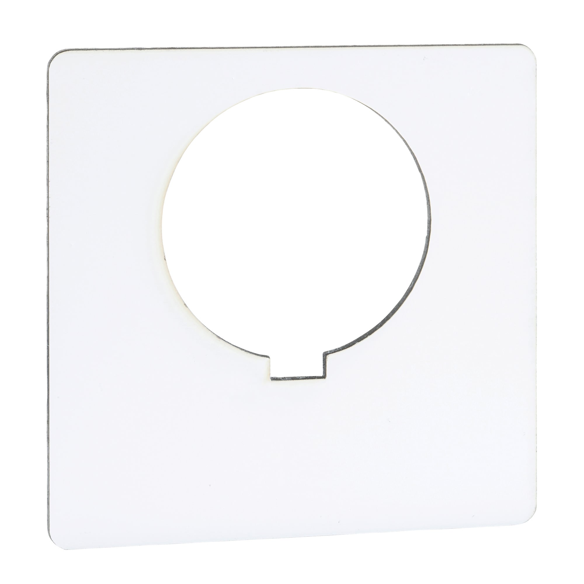 Push Button Legend Plate, 30 mm, "Blank", Black on White/Plastic"