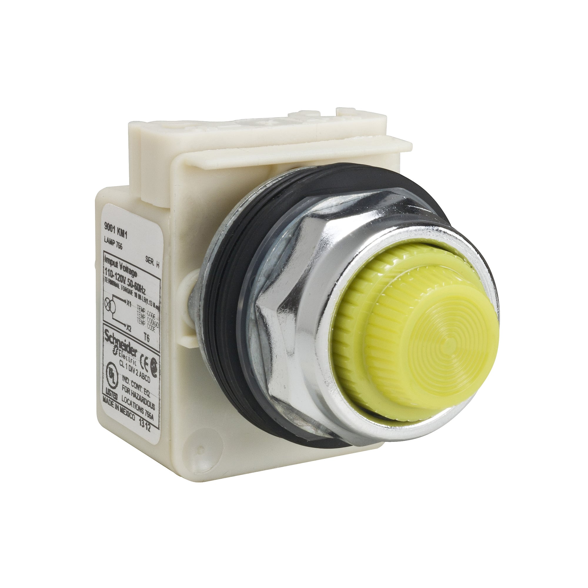 PILOT LIGHT 120VAC 30MM TYPE K +OPTIONS