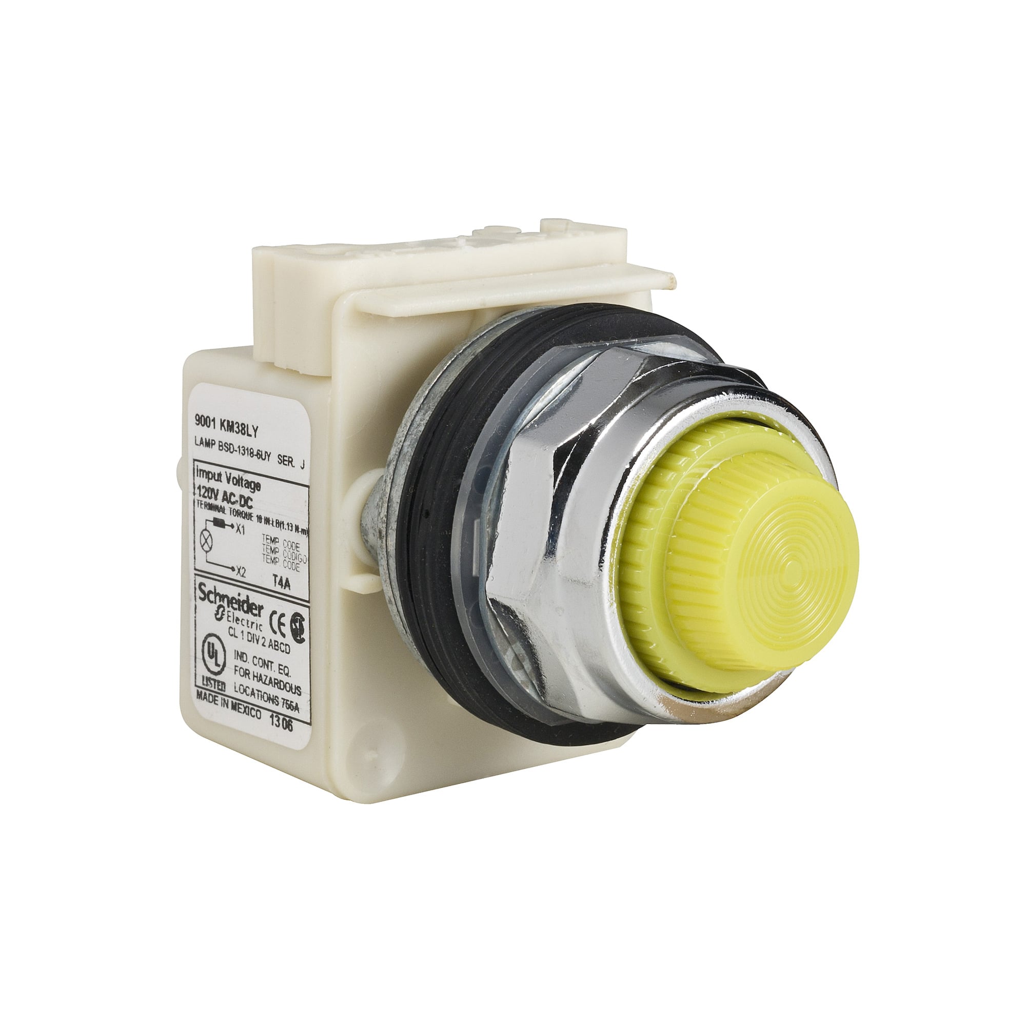 PILOT LIGHT 120V 30MM TYPE K +OPTIONS