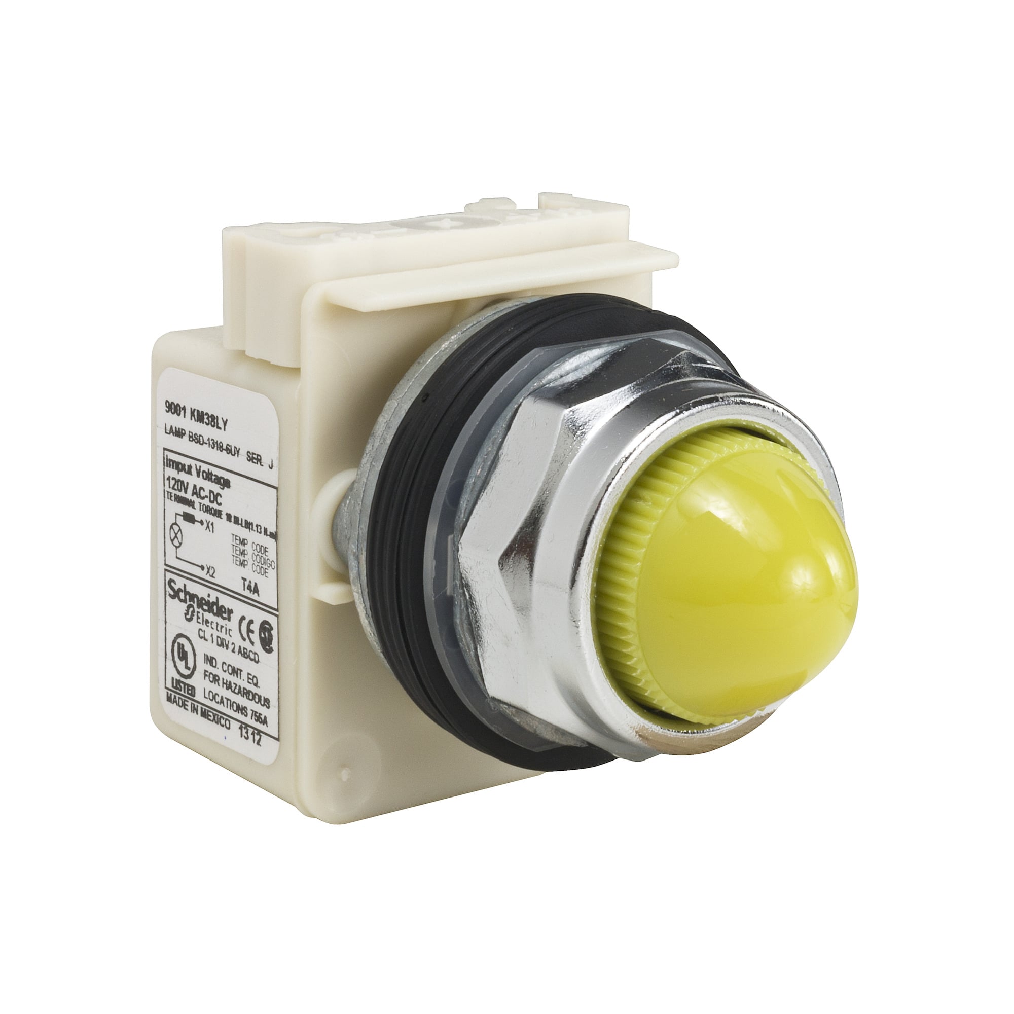 PILOT LIGHT 120V 30MM TYPE K +OPTIONS