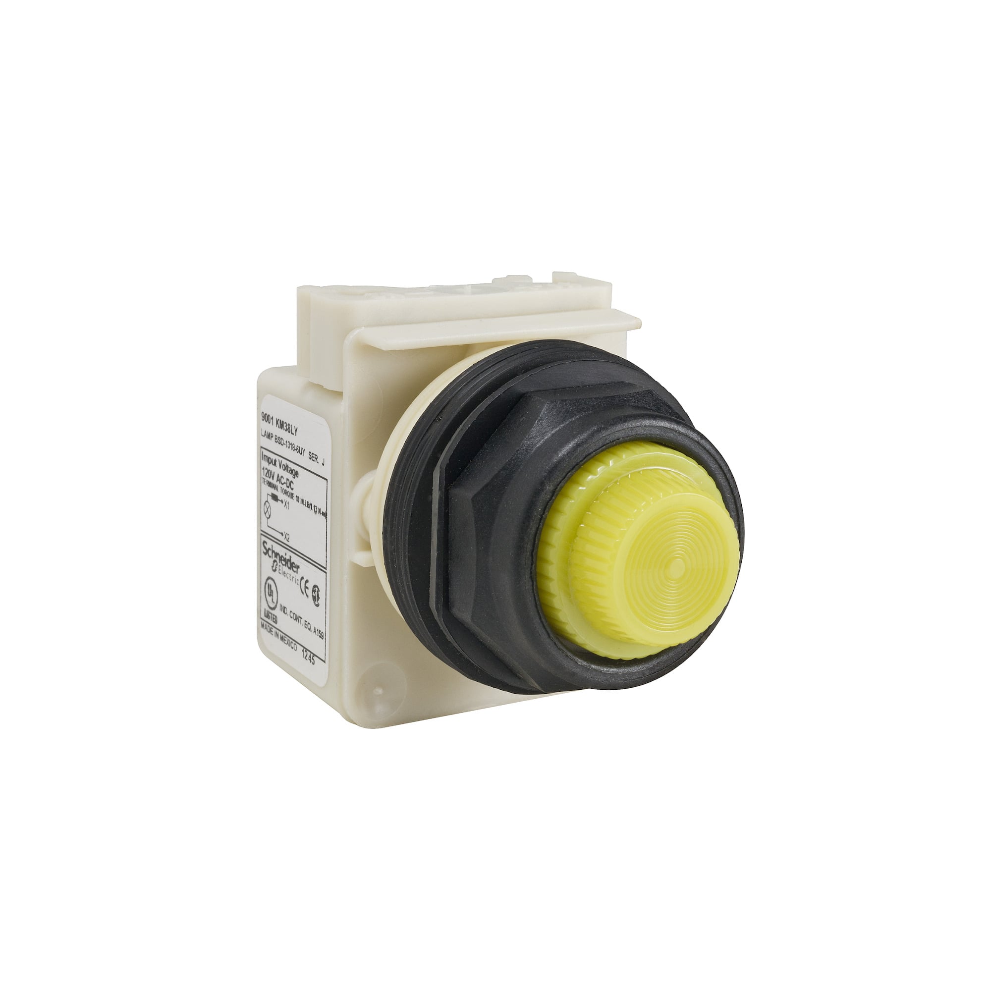PILOT LIGHT 28V 30MM SK +OPTIONS
