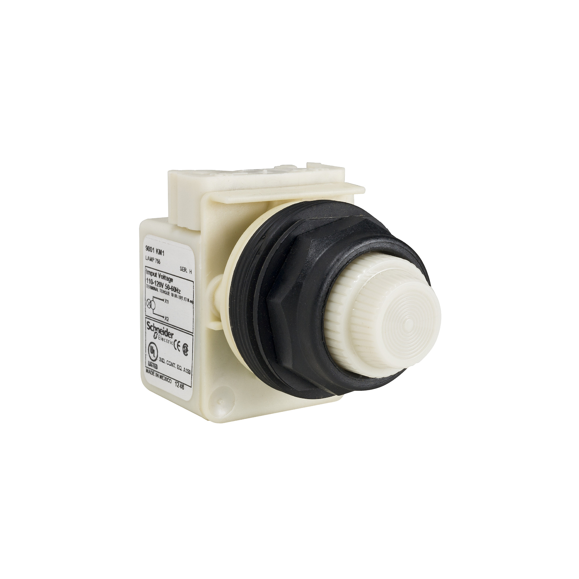 PILOT LIGHT 240VAC 30MM SK +OPTIONS