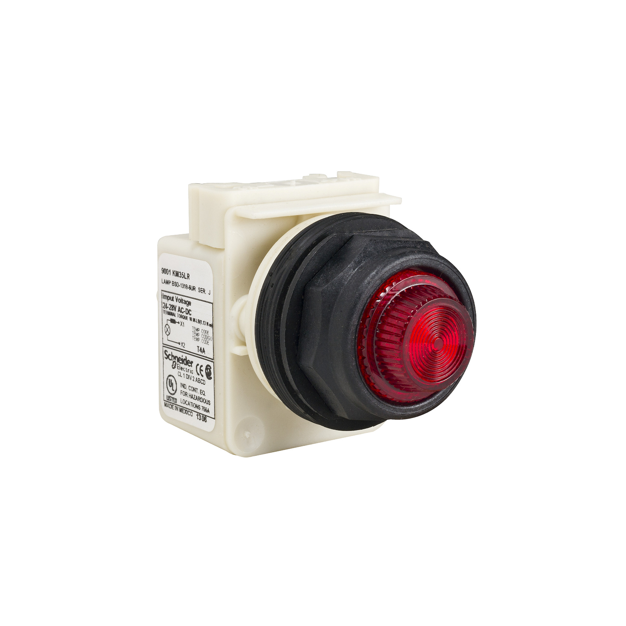 PILOT LIGHT 277VAC 30MM SK +OPTIONS