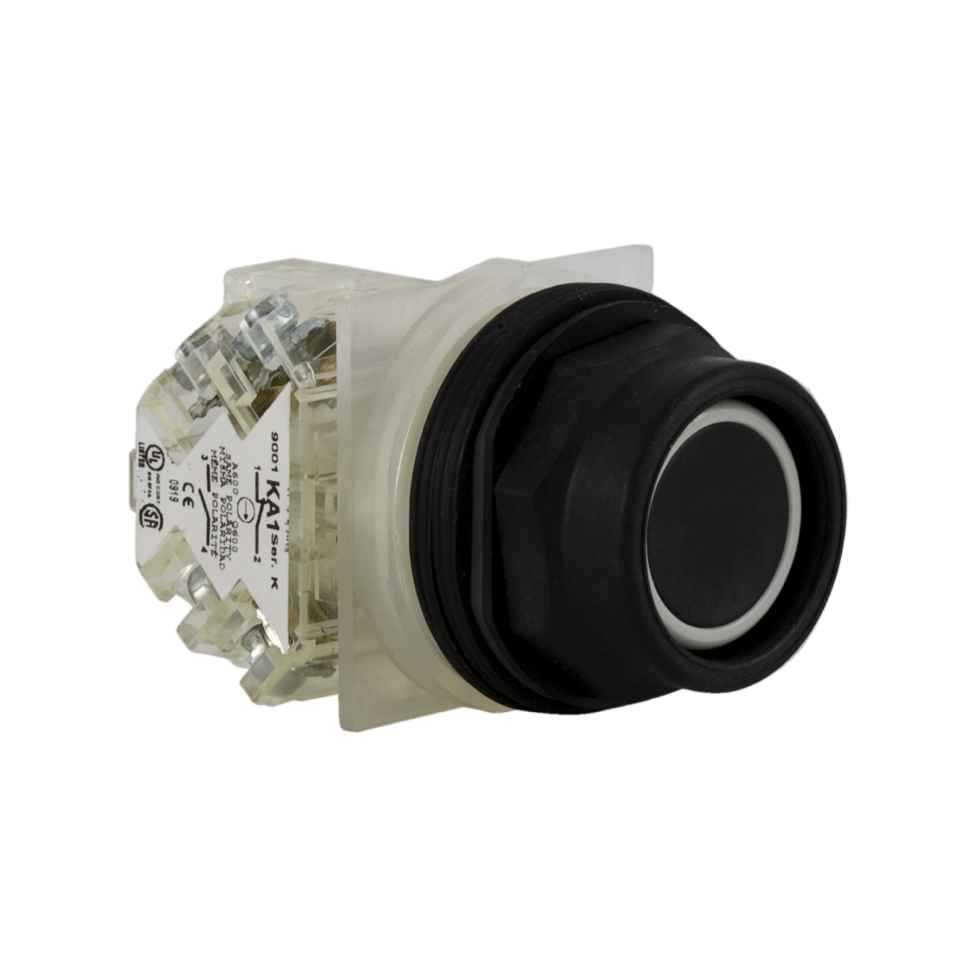 PUSHBUTTON 600VAC 10AMP 30MM SK +OPTIONS