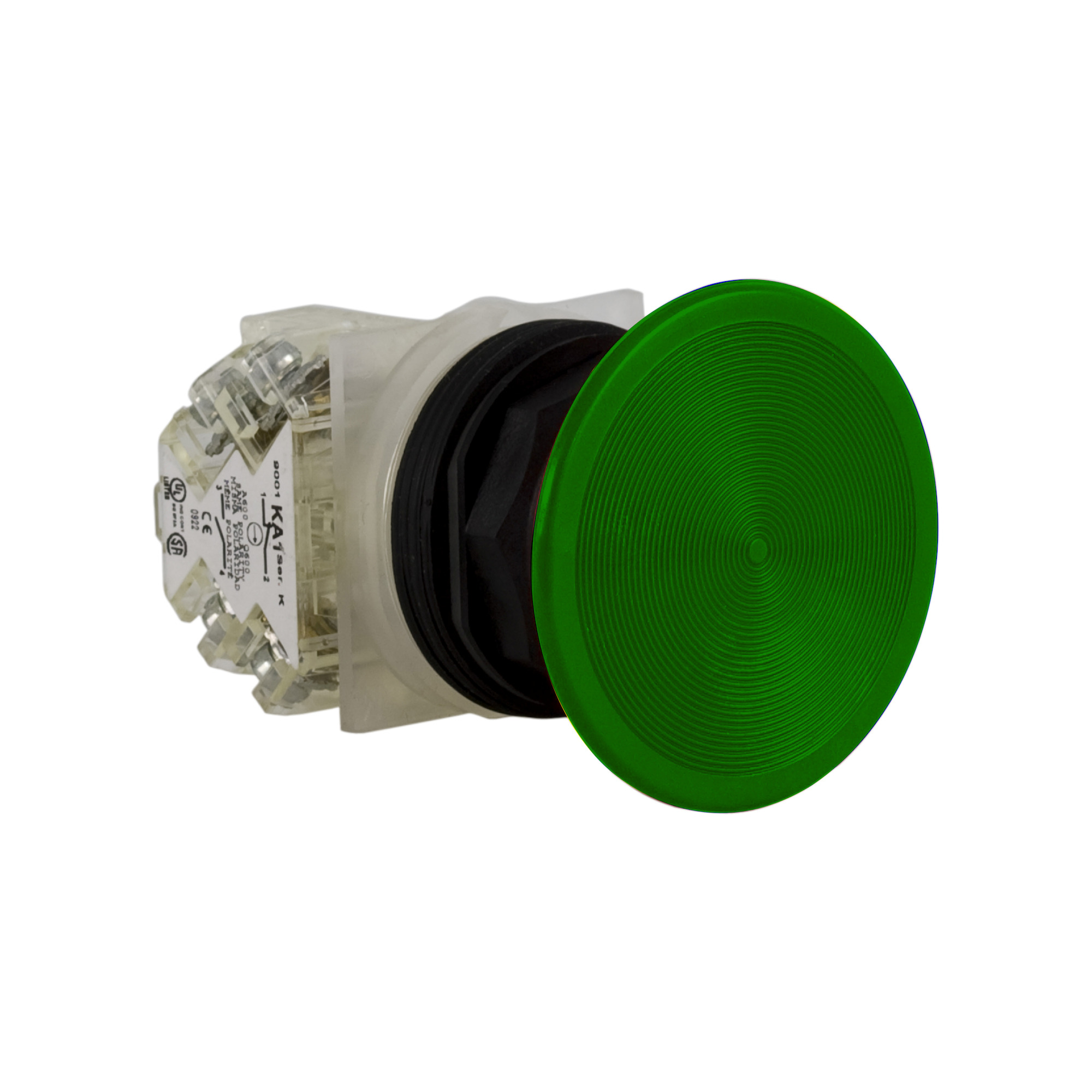 PUSHBUTTON 600VAC 10AMP 30MM SK +OPTIONS