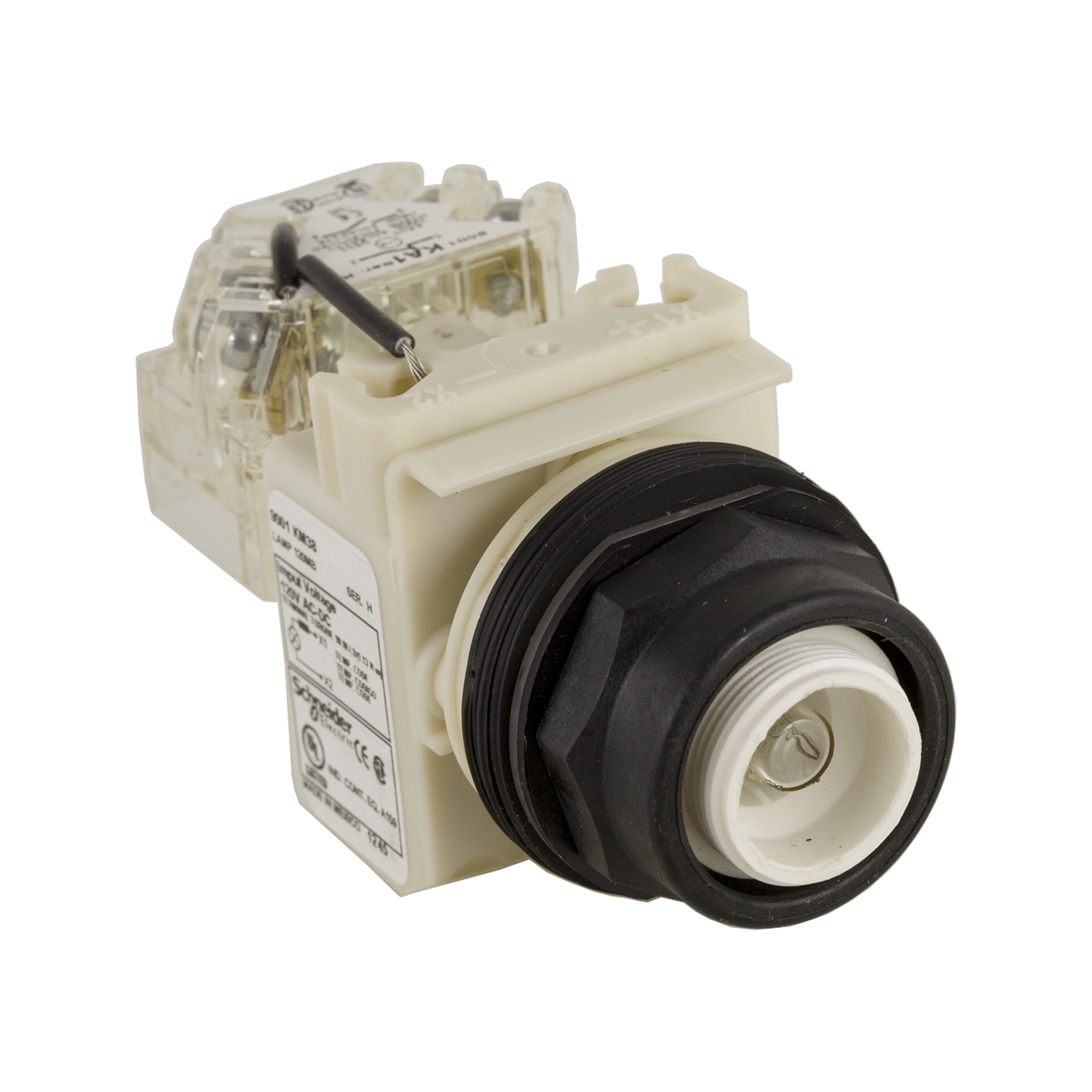 PILOT LIGHT 120V 30MM SK +OPTIONS