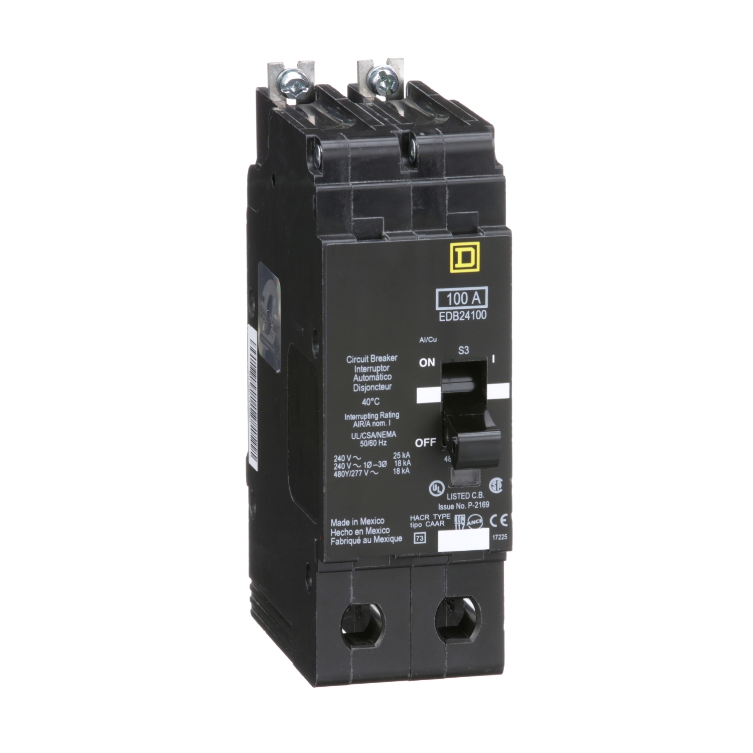 Mini circuit breaker, E-Frame, 100A, 2 pole, 480Y/277VAC, 25kA max, bolt on [TAA]
