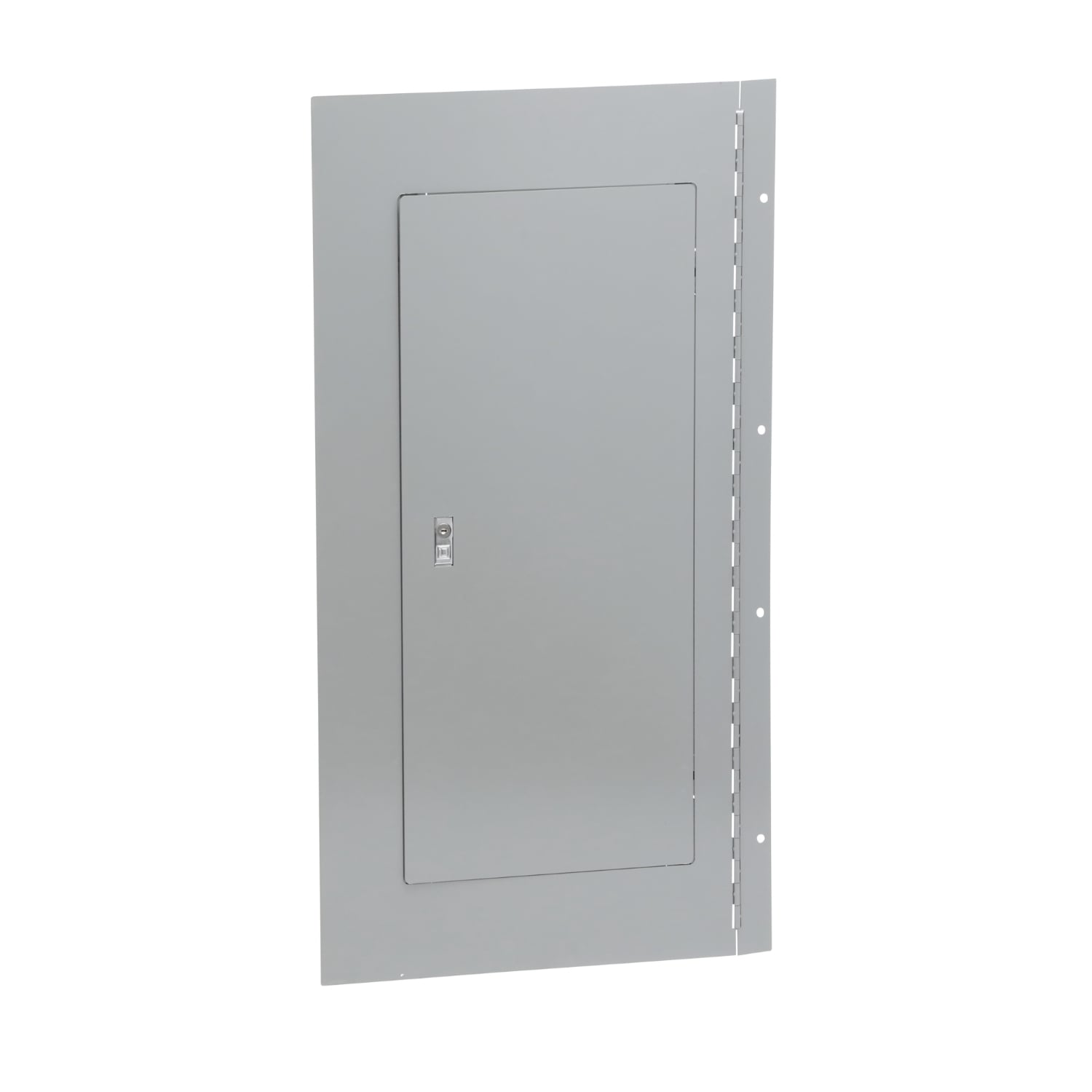 Panelboard enclosure cover, NQ/NF, Type 1, surface, hinged, for 20in W x 38in H box