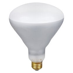 Incandescent BR40 Reflector Lamp Inside Frost Finish Medium Brass Base 300Watt 120Volt Flood