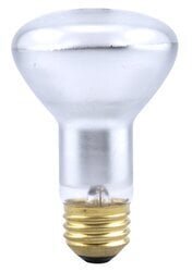 Incandescent R20 Reflector Lamp Inside Frost Finish Medium Brass Base 30Watt 120Volt Retail Pack 6Bulbs Per Case 1Bulbs Per Package