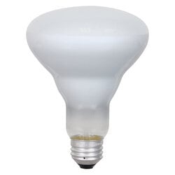 Incandescent BR30 Reflector Lamp Inside Frost Finish Medium Aluminum Base 65Watt 120Volt Flood Retail Pack 6Bulbs Per Case 1Bulb Per Package