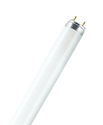 86W, 96" MOL, T8 OCTRON high output fluorescent lamp, 4100K color temperature, rare earth phosphor, 85 CRI, suitable for RS operation, ECOLOGIC