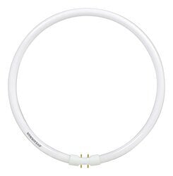 40W, T5 Pentron Circline fluorescent lamp, 3500K color temperature, rare earth phosphor, 82 CRI