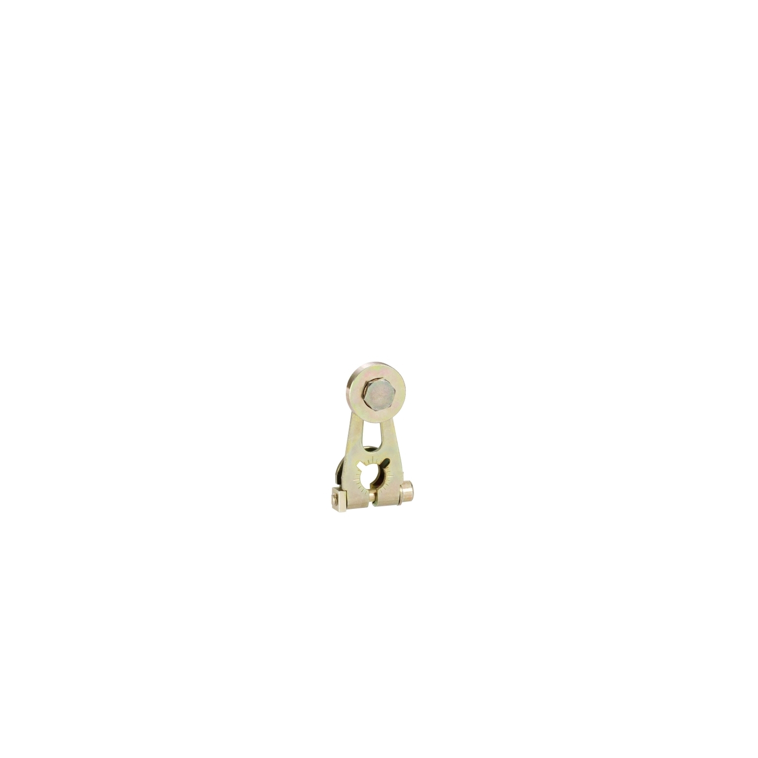 Limit switch lever, Limit switches XC Standard, ZC2JY, steel roller -40...120 C