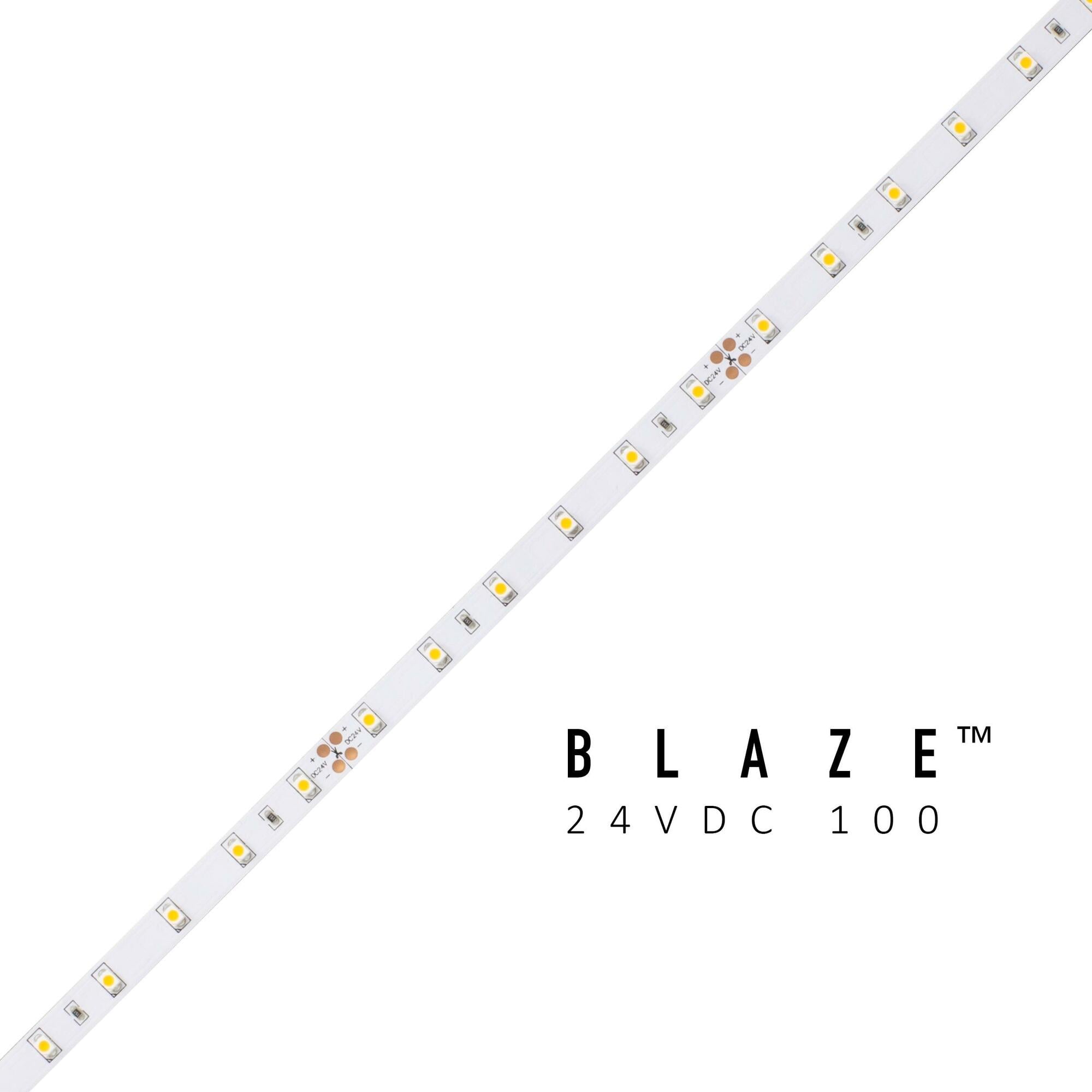 BLAZE 100 LED Tape Light, 24V, 3000K, 100 ft. Spool
