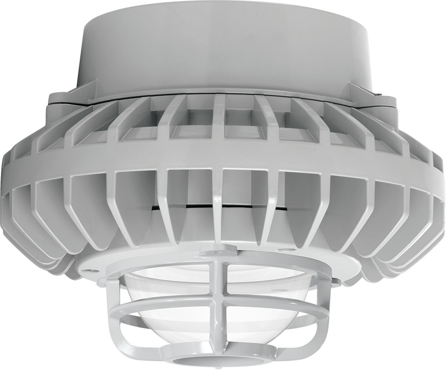 Hazardous Lighting 6420 Lumens Hazpled 80W Clear Globe Die Cast Guard Gray