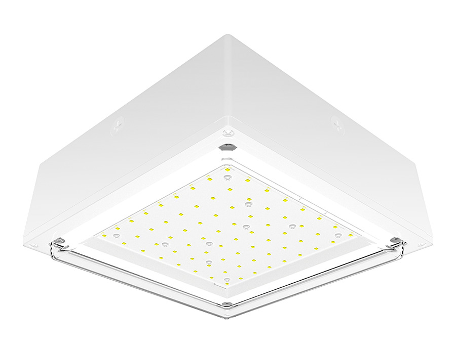 Canopy Lights 3350 Lumens Vanled 20W 4000K Drop Clear Lens Battery Backup White