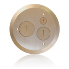Cover Plate for Concrete Floor Box System, 1 Screw Cap   2 Data Caps, Brass, For use with FBBOX-GY and FBLEV-GY