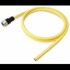 Supply cable, pre-assembled, 7/8 inch; 7/8 inch; 5-pole; Plug, straight; Length: 3 m