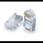 RJ11 6P/4W Plug for 28 AWG Flat Cable - 100 Pack