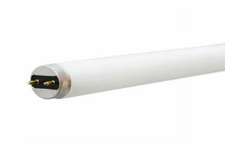 66342 4 ft Tube Fluorescent Lamp, T8, Medium Bi-Pin (G13), 32W, 6500K, 78 CRI, 2900 LM