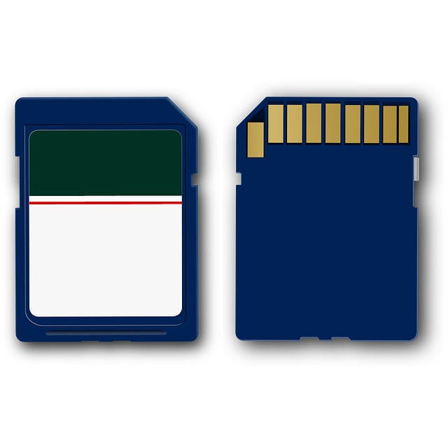 SD002G00 2GB SD Card