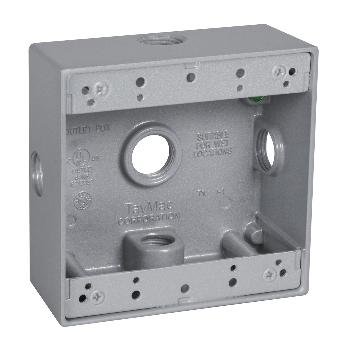 2-Gang Five 1/2 in. Hole Weatherproof Box with Side Lug - Silver