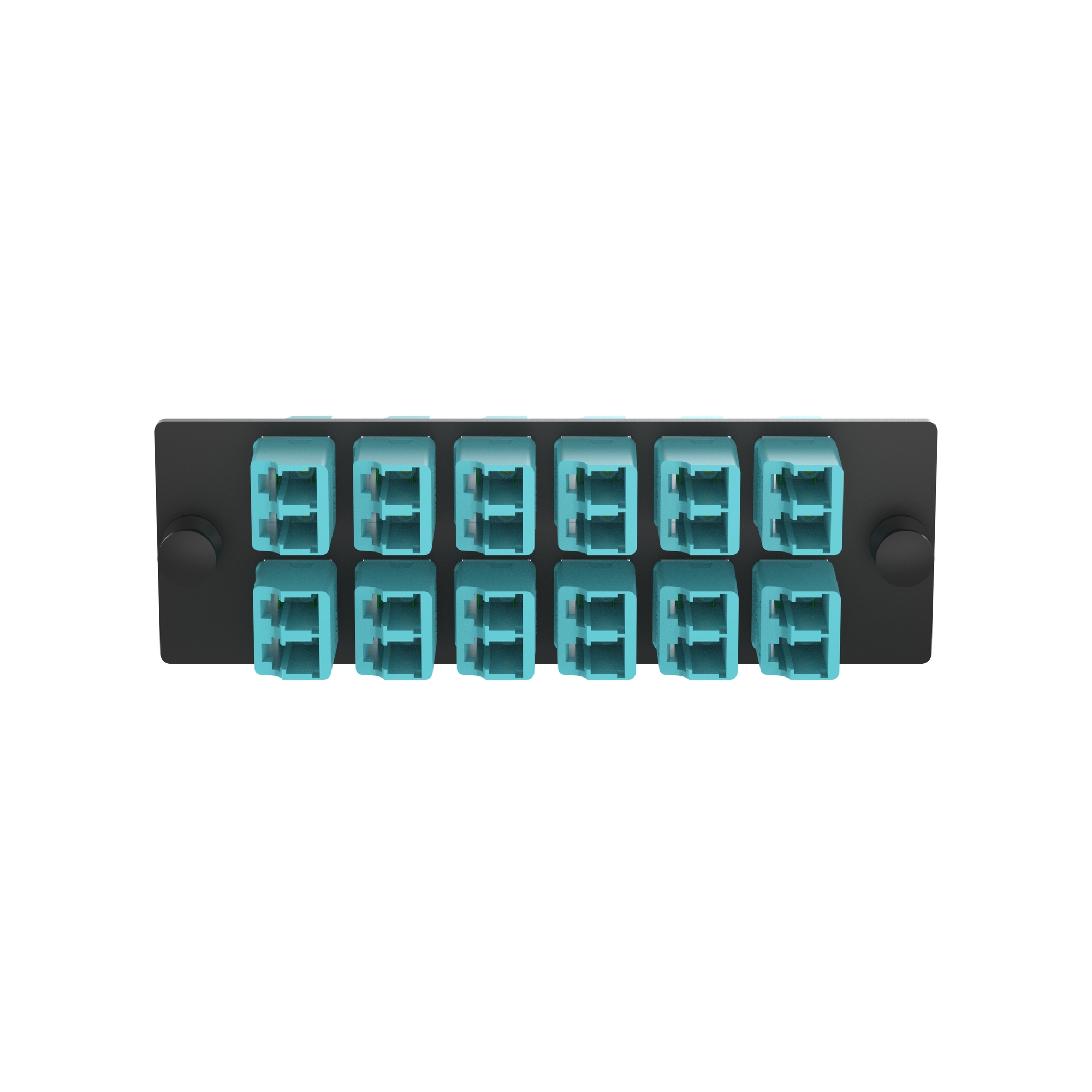 FAP w/12 LC 10 GbE Dupl mm Adapters (AQ)
