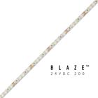 BLAZE 200 LED Tape Light, 24V, 3500K, 16.4 ft. Spool